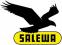 Salewa PLAISIR PRO GTX 2X JACKET WOMEN (viola)