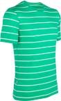 Icebreaker  MENS ANATOMICA SS CREWE STRIPE   (Lucky/White)