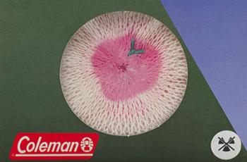 COLEMAN GLÜHSTRÜMPFE FÜR BENZIN LATERNE (2St., Compact, Peak1 alt 200A700,222,229)