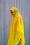 COGHLANS LEICHTPONCHO (transparent)