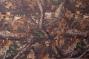 other_image